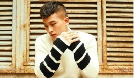 欧豪娱乐大爆料,揭秘明星幕后故事与幕后黑幕